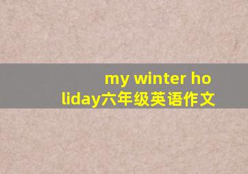 my winter holiday六年级英语作文